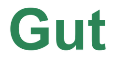 Gut